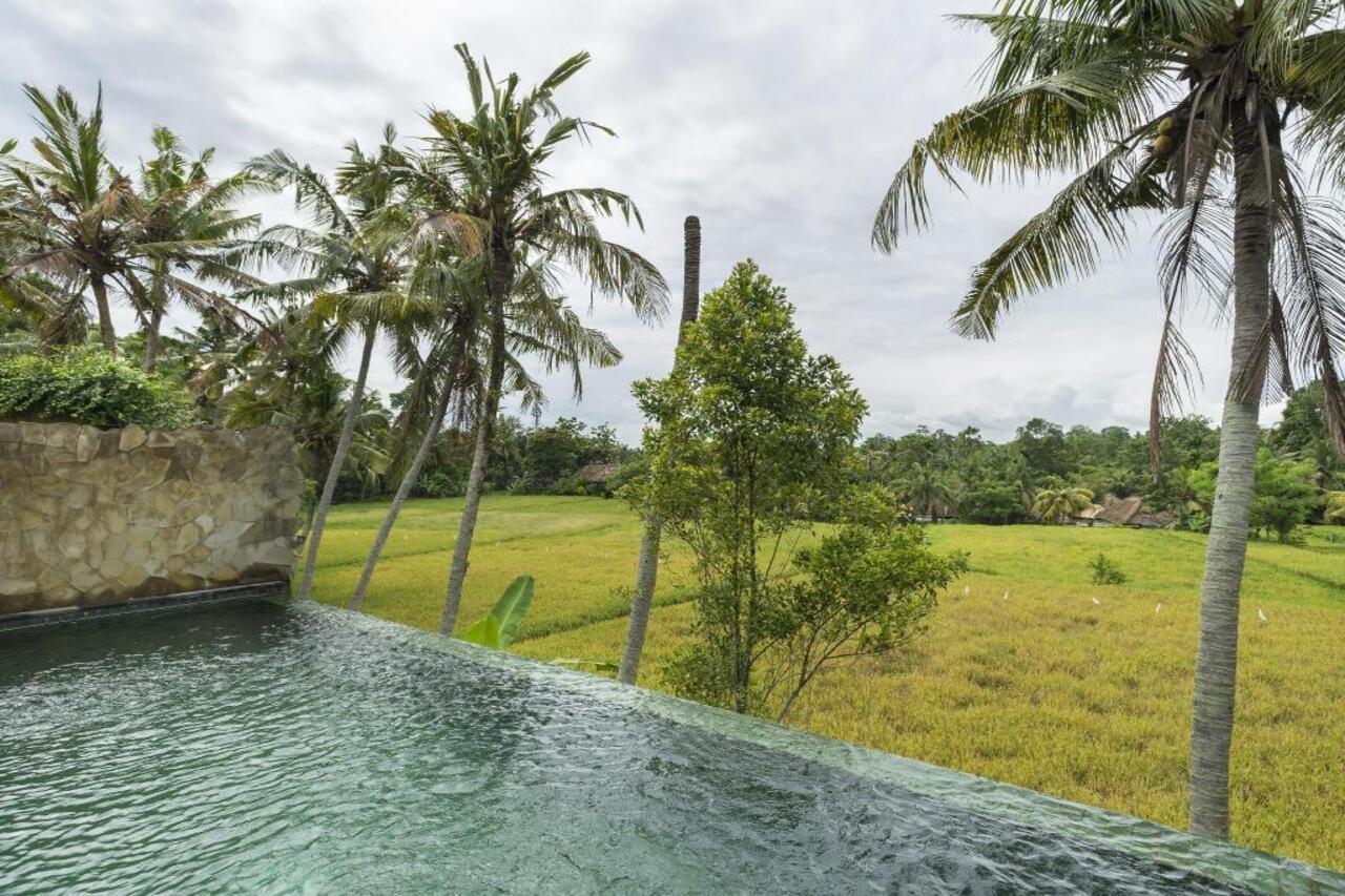 Motama Villa Ubud Kültér fotó