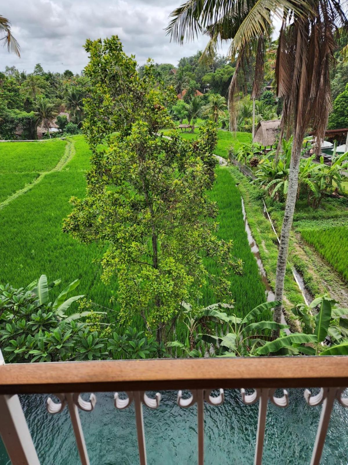 Motama Villa Ubud Kültér fotó