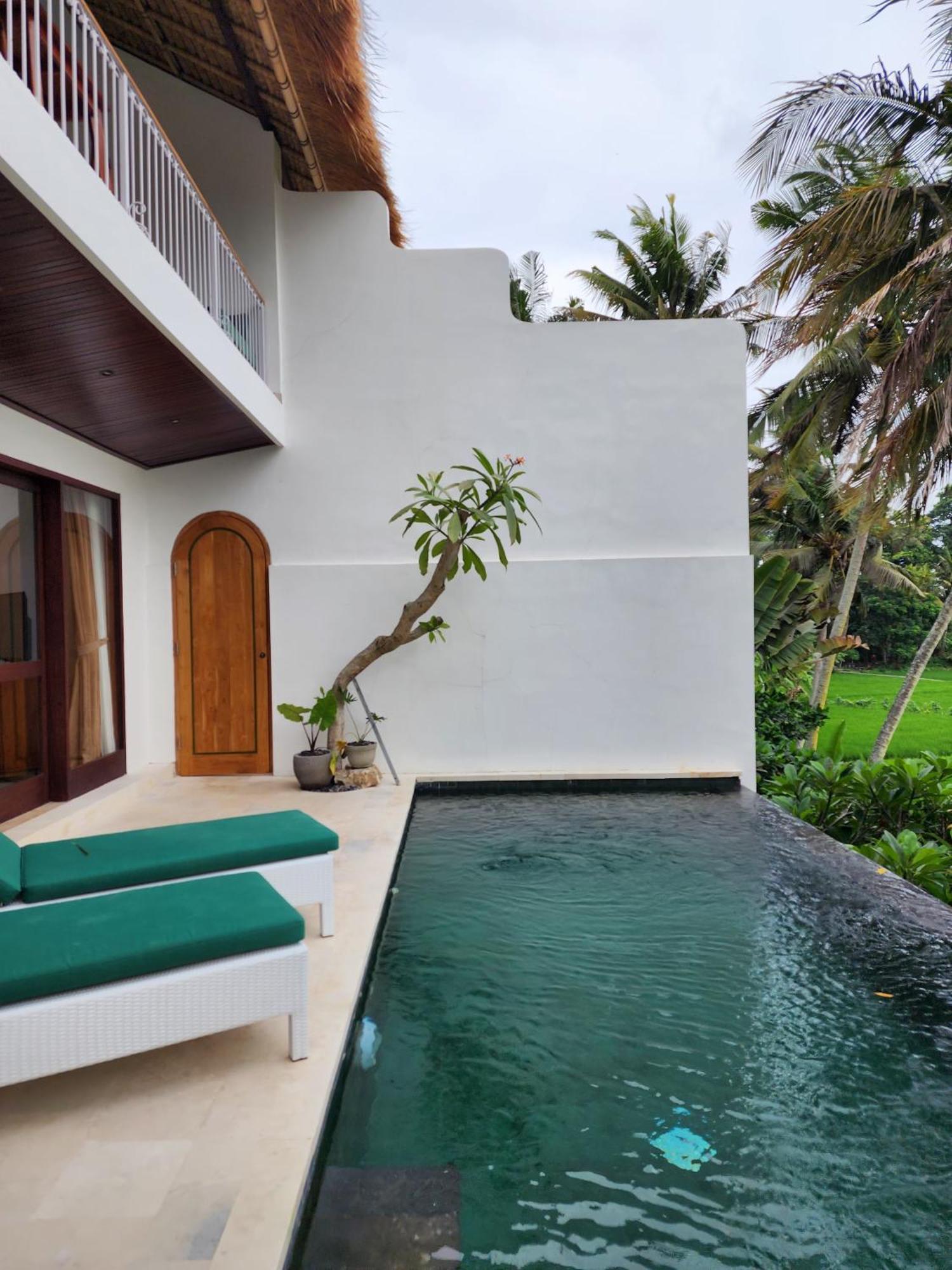 Motama Villa Ubud Kültér fotó