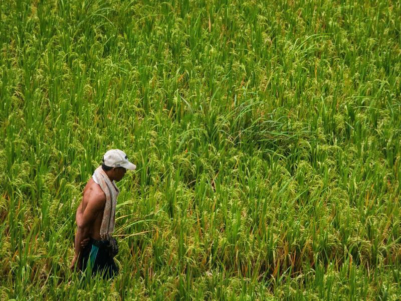 Motama Villa Ubud Kültér fotó