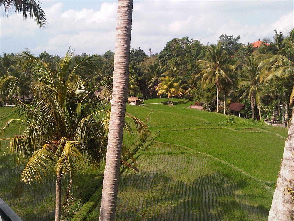 Motama Villa Ubud Kültér fotó